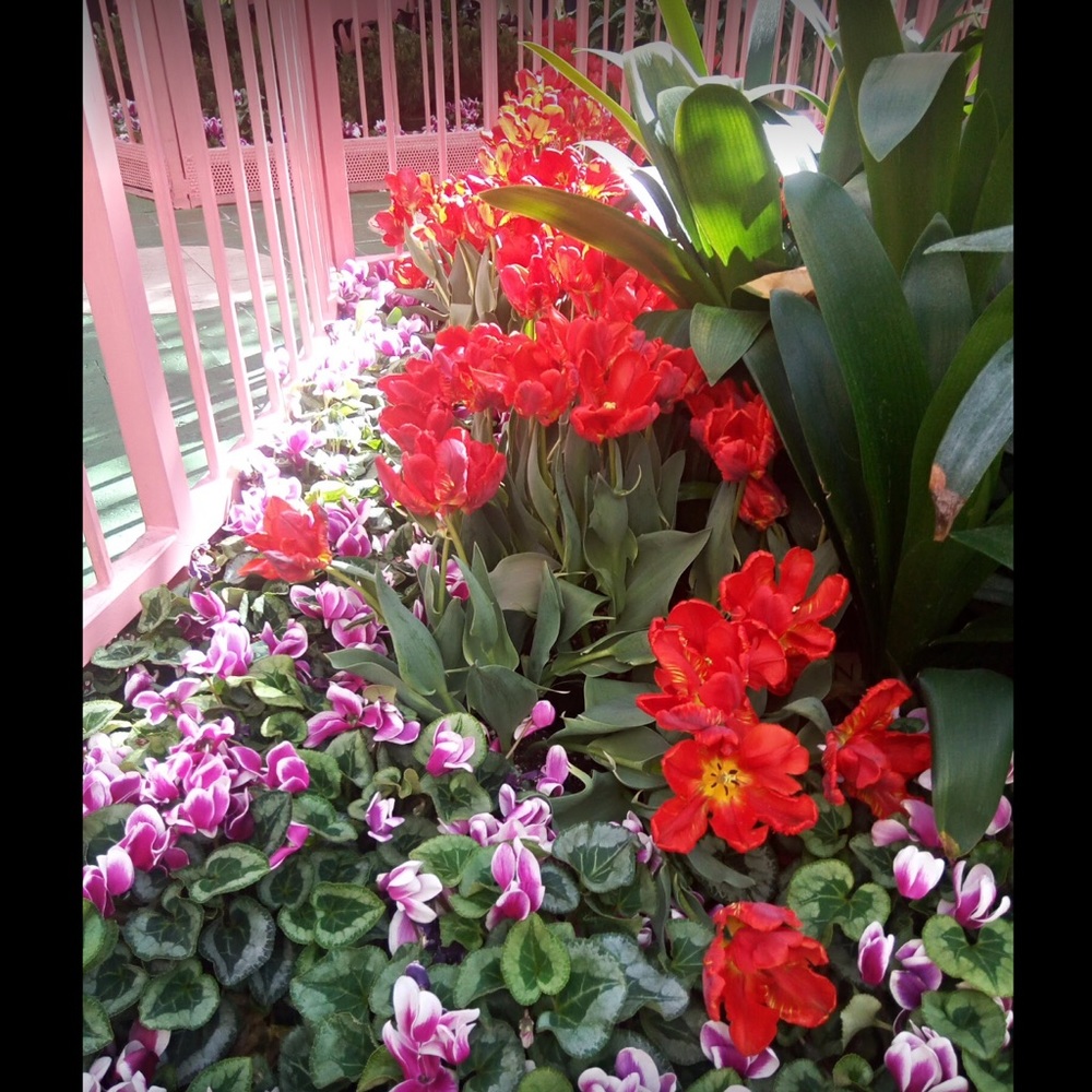 Meet your Posher, Jubeda